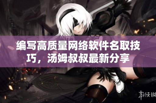 编写高质量网络软件名取技巧，汤姆叔叔最新分享