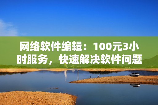 网络软件编辑：100元3小时服务，快速解决软件问题