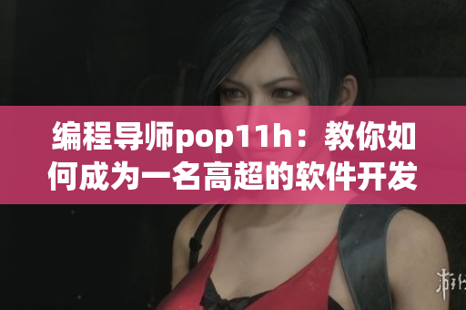 编程导师pop11h：教你如何成为一名高超的软件开发者
