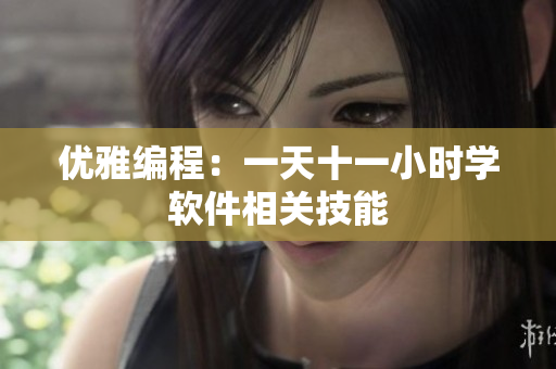 优雅编程：一天十一小时学软件相关技能