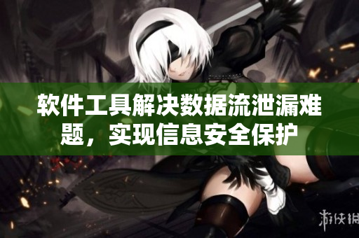 软件工具解决数据流泄漏难题，实现信息安全保护
