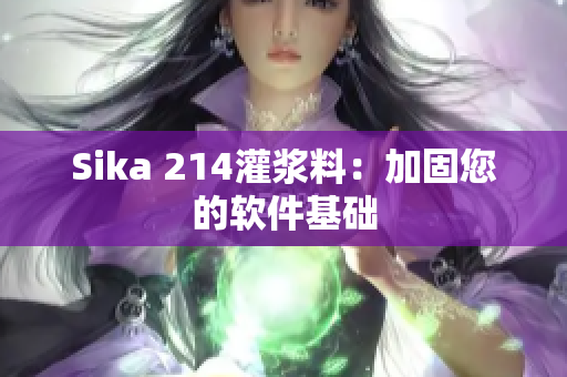 Sika 214灌浆料：加固您的软件基础
