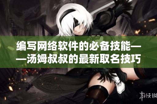 编写网络软件的必备技能——汤姆叔叔的最新取名技巧