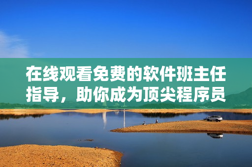 在线观看免费的软件班主任指导，助你成为顶尖程序员