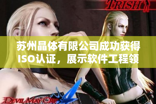 苏州晶体有限公司成功获得ISO认证，展示软件工程领域的卓越实力