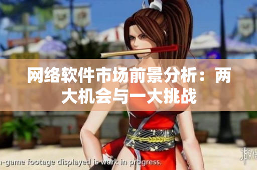 网络软件市场前景分析：两大机会与一大挑战