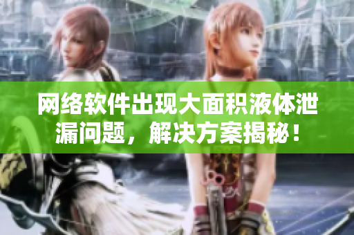 网络软件出现大面积液体泄漏问题，解决方案揭秘！