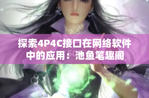 探索4P4C接口在网络软件中的应用：池鱼笔趣阁