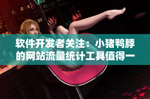 软件开发者关注：小猪鸭脖的网站流量统计工具值得一试！