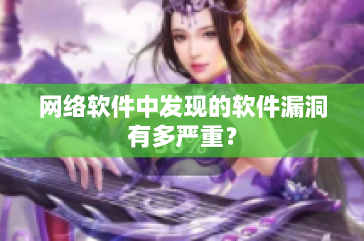 网络软件中发现的软件漏洞有多严重？