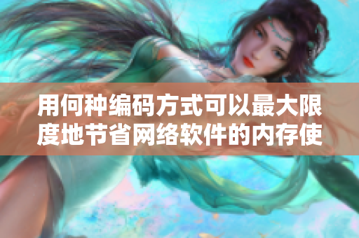 用何种编码方式可以最大限度地节省网络软件的内存使用？