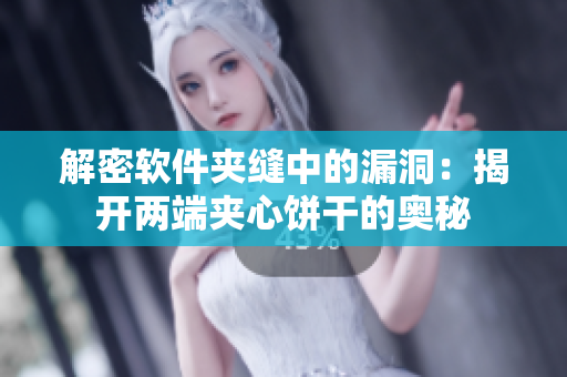解密软件夹缝中的漏洞：揭开两端夹心饼干的奥秘
