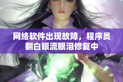 网络软件出现故障，程序员翻白眼流眼泪修复中