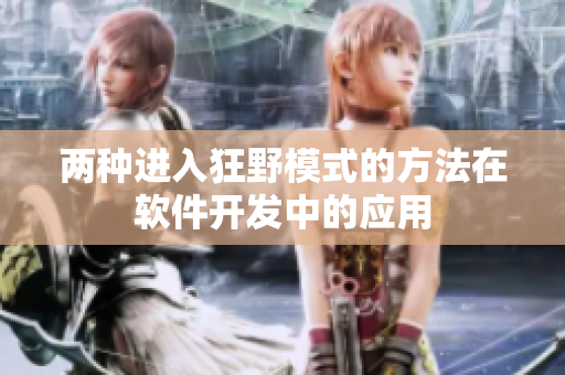 两种进入狂野模式的方法在软件开发中的应用