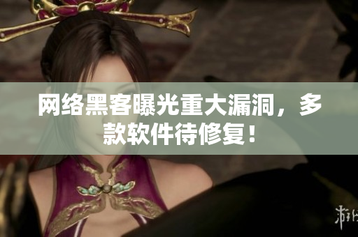 网络黑客曝光重大漏洞，多款软件待修复！