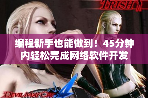 编程新手也能做到！45分钟内轻松完成网络软件开发