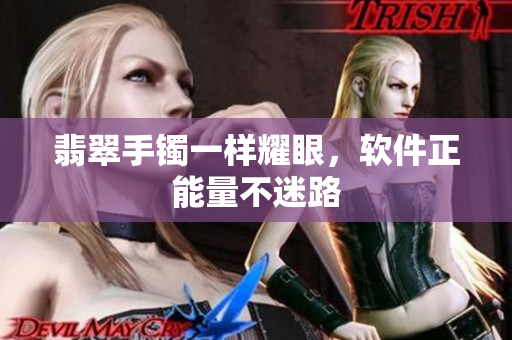 翡翠手镯一样耀眼，软件正能量不迷路