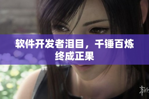 软件开发者泪目，千锤百炼终成正果