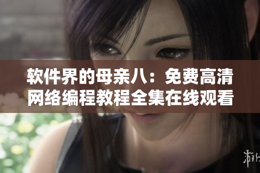 软件界的母亲八：免费高清网络编程教程全集在线观看