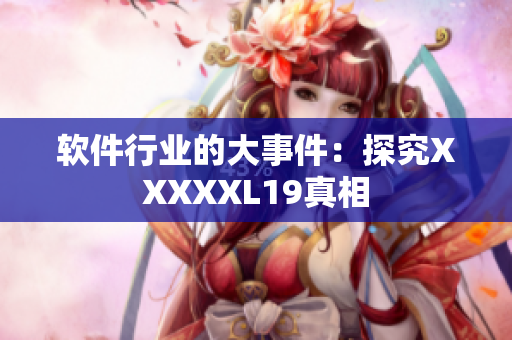软件行业的大事件：探究XXXXXL19真相