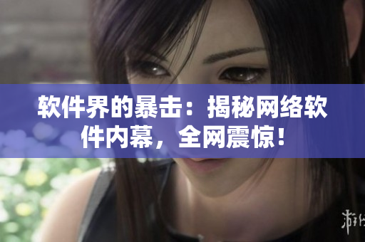 软件界的暴击：揭秘网络软件内幕，全网震惊！