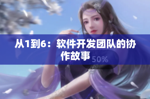 从1到6：软件开发团队的协作故事