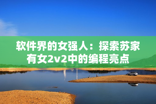 软件界的女强人：探索苏家有女2v2中的编程亮点