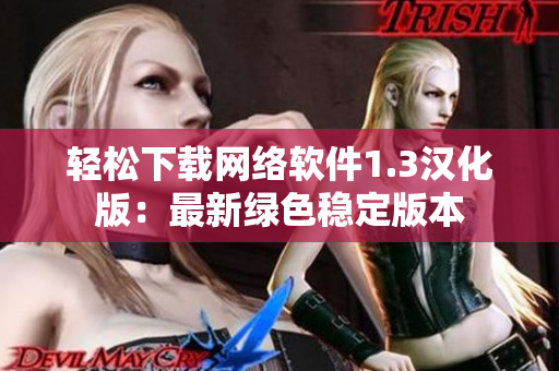 轻松下载网络软件1.3汉化版：最新绿色稳定版本