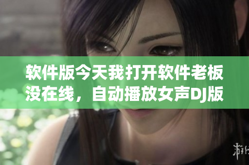 软件版今天我打开软件老板没在线，自动播放女声DJ版