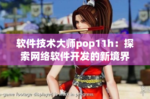 软件技术大师pop11h：探索网络软件开发的新境界