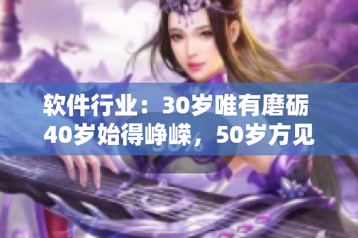 软件行业：30岁唯有磨砺 40岁始得峥嵘，50岁方见风华