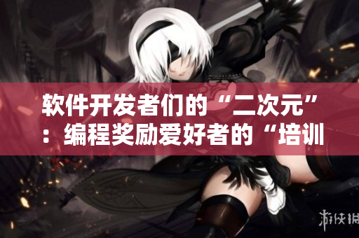软件开发者们的“二次元”：编程奖励爱好者的“培训游戏”