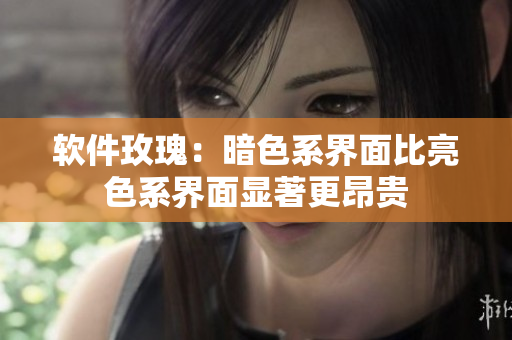 软件玫瑰：暗色系界面比亮色系界面显著更昂贵