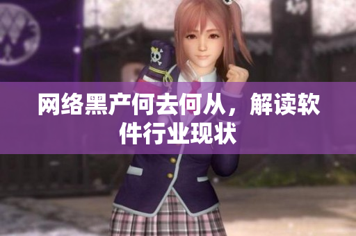 网络黑产何去何从，解读软件行业现状