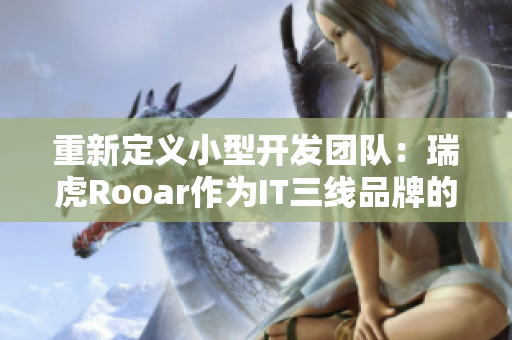 重新定义小型开发团队：瑞虎Rooar作为IT三线品牌的代表