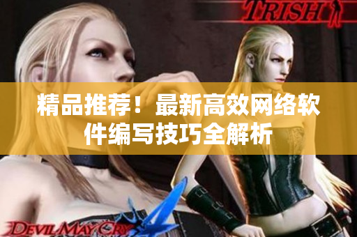 精品推荐！最新高效网络软件编写技巧全解析