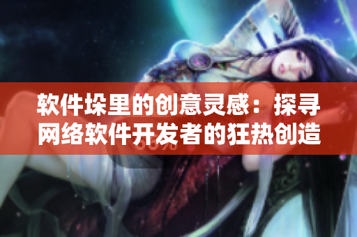 软件垛里的创意灵感：探寻网络软件开发者的狂热创造力