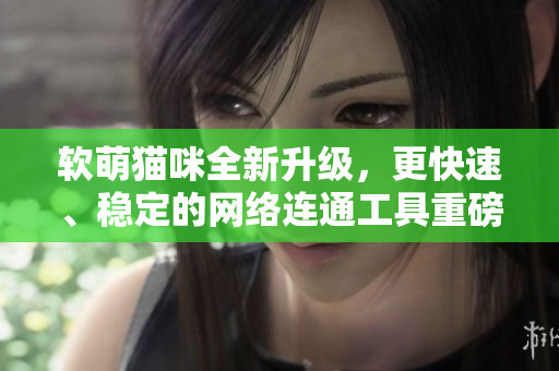 软萌猫咪全新升级，更快速、稳定的网络连通工具重磅推出！