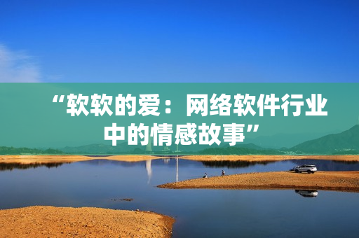 “软软的爱：网络软件行业中的情感故事”