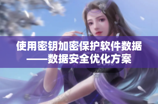 使用密钥加密保护软件数据——数据安全优化方案