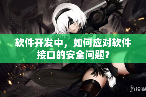 软件开发中，如何应对软件接口的安全问题？